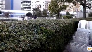 日韩av4a在线视频免费➕久久精品国产亚洲av品善